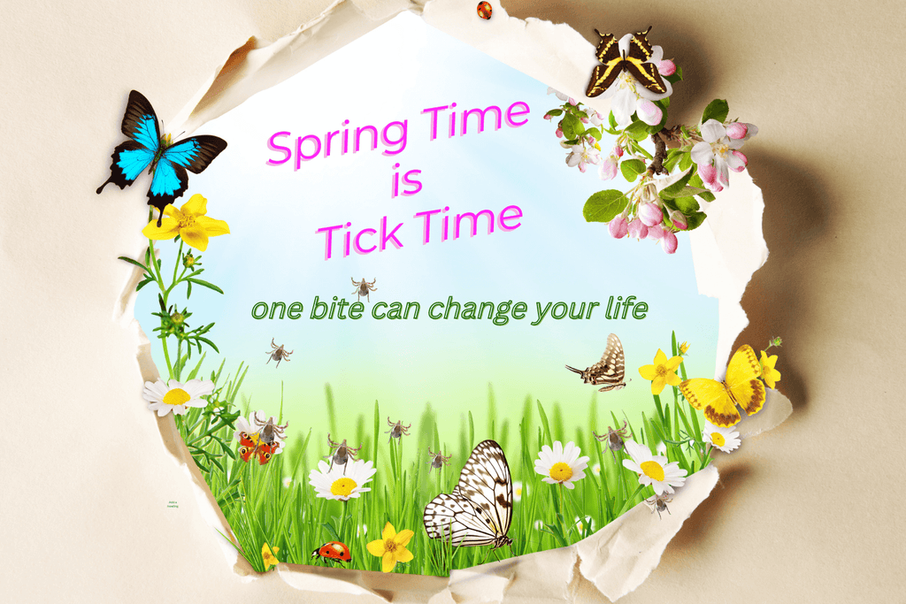 Spring Time is Tick Time